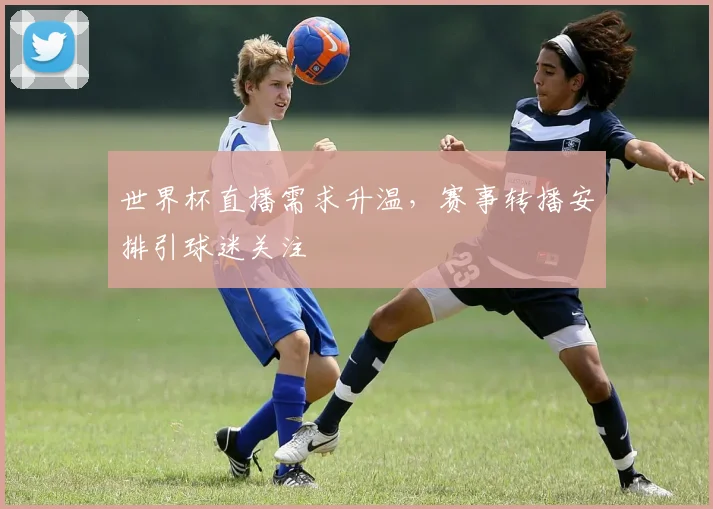 世界杯直播需求升温,赛事转播安排引球迷关注