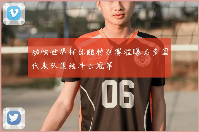 动物世界杯优酷特别赛程曝光多国代表队集结冲击冠军