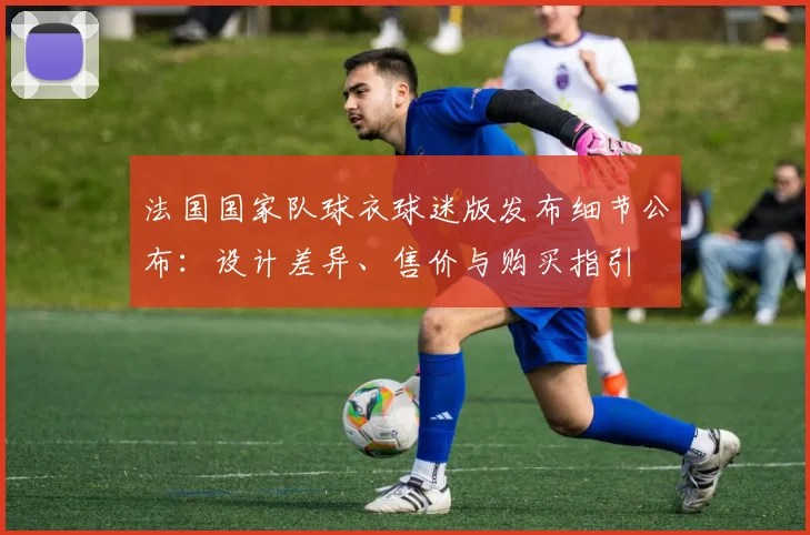 法国国家队球衣球迷版发布细节公布：设计差异、售价与购买指引